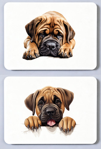 Mastiff dog picture - mastiff,
