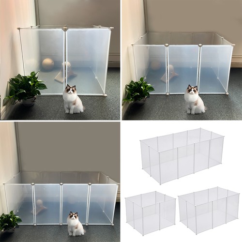 Dog cat fence - cat, exercise