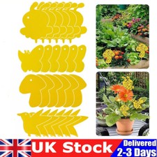 Flying Flie Traps Bugs Sticky