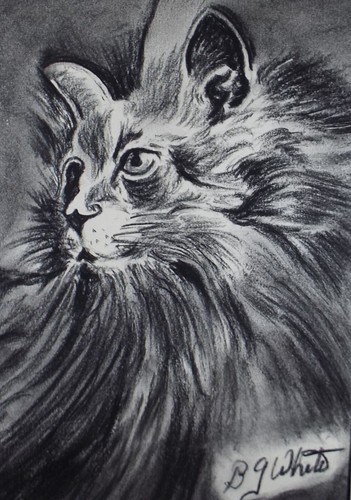 Pencil drawing and conte - pencil,