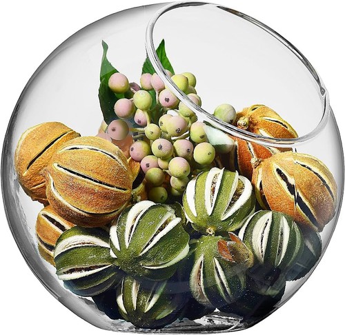 Slanted glass terrarium bowl - glass,