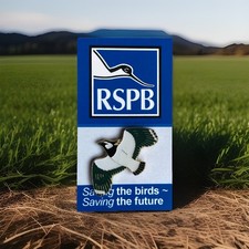 RSPB-2000/2001 Early LAPWING