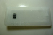 Ford Escort 1995 - 2001 Large Interior Light Unit