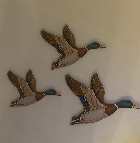 Set flying ducks birds - of, 3