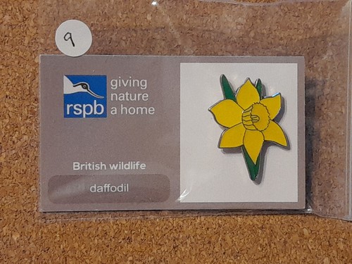 Rspb daffodil charity - charity, pin