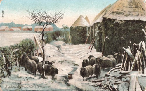 Postcard shelter from the - postcard,
