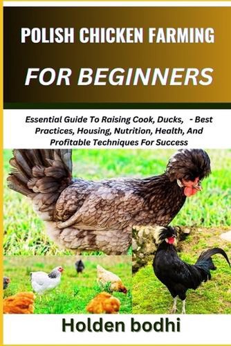Polish chicken farming for - polish,