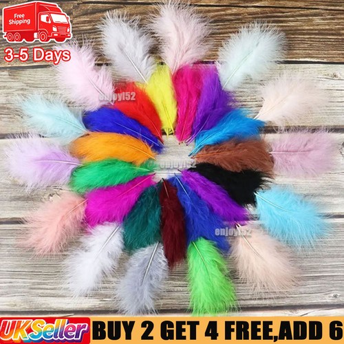 100 solid coloured feathers - solid,