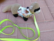 Ferret Harness and Matching