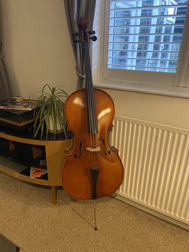 Full size primavera 200 cello - full,