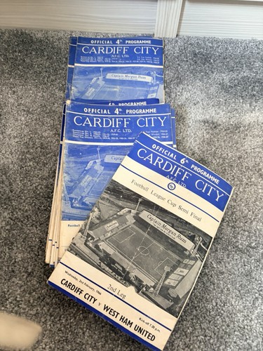 Cardiff city west - city,