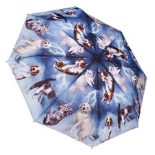 Galleria Enterprises Cats &