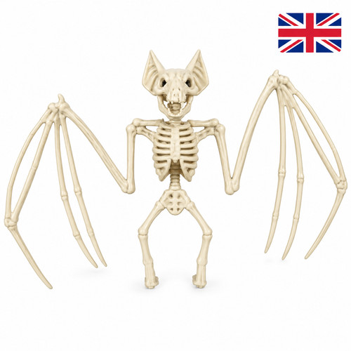 Halloween bat skeleton model - skeleton,