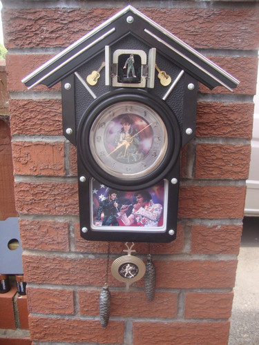Super rare elvis cuckoo - super,