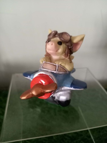 Pocket dragon frequent flyer - pocket,