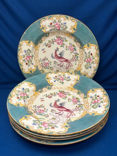 Minton cockatrice turquoise - cockatrice,