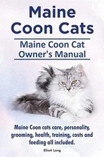 Maine Coon Cats. Maine Coon