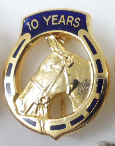 Bhs enamel pin badge - bhs,