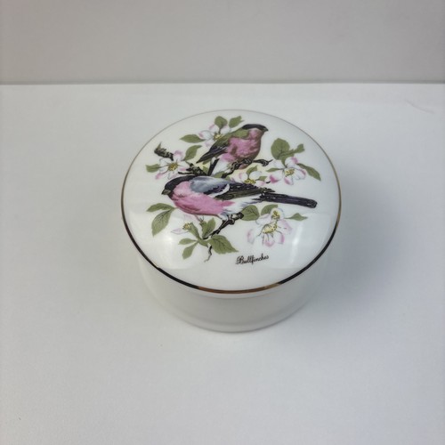 Charlotte vintage fine bone - charlotte,