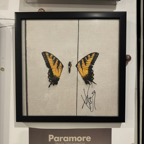 Paramore brand new eyes - paramore, vinyl