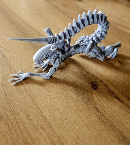 Printed alien model high - -,