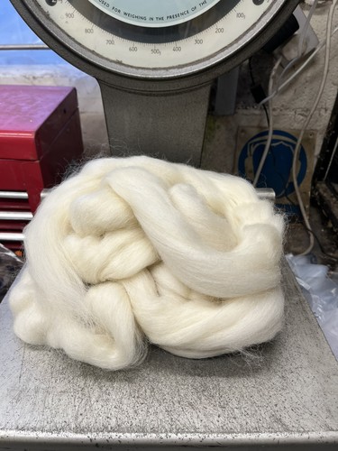 Natural white border leicester - white,