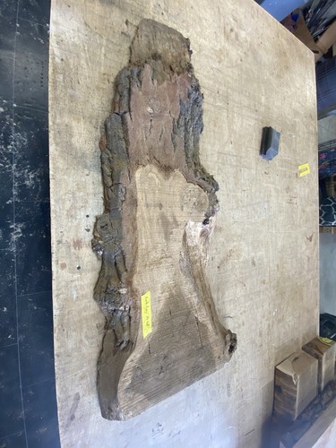 Kiln dried pippy oak wood - pippy,