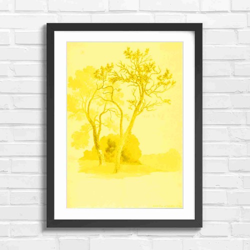 Orchard trees artistic drawing - orchard,