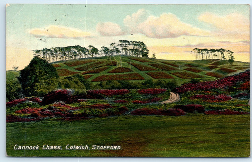 Postcard cannock chase colwich - postcard,