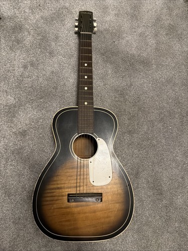 Silvertone small bodied - silvertone,