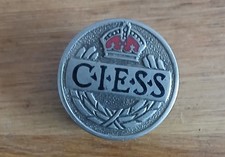 Vintage  CIESS Enamel Lapel