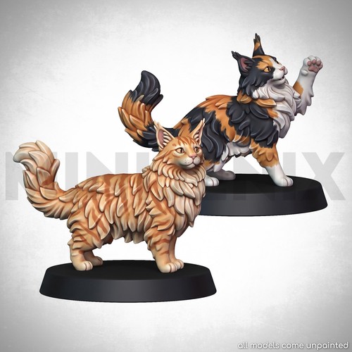 Maine coon cat unpainted - maine,