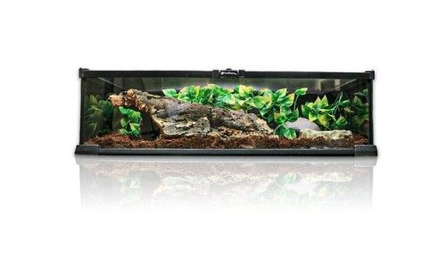 Swell reptiles glass - swell,