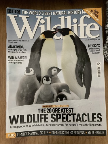 Bbc wildlife magazine - bbc,