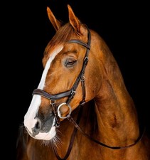 Horseware Micklem Competition