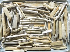 100 Driftwood Pieces For Arts