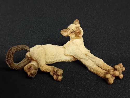 Breed apart cream tabby - a,