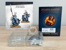 Swan Knights Of Dol Amroth