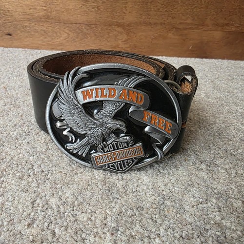 Harley davidson belt buckle - harley,
