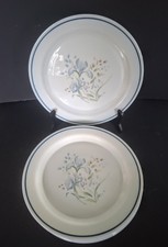 Set of 6 Vintage PYREX  Blue Iris Pattern Large Dinner Plates 26cm 1980's 