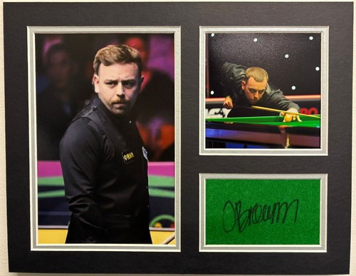 Professional snooker player - snooker,
