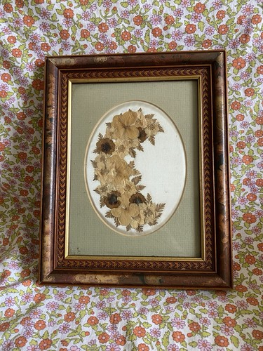 Vintage framed pressed dried - framed,