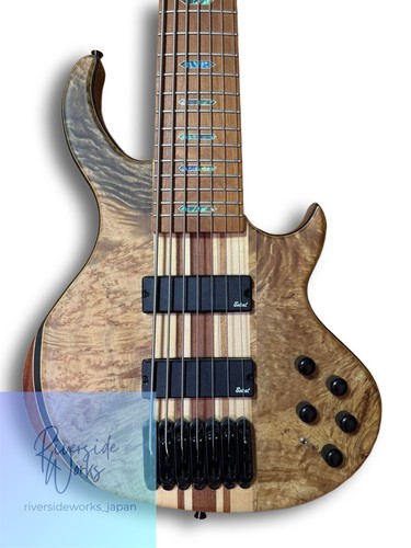 String electric bass - electric,