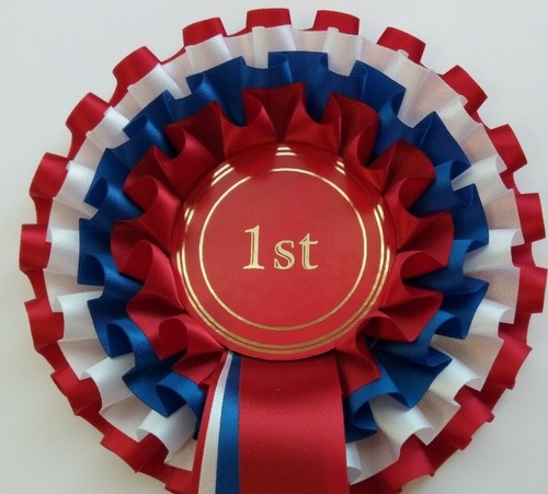 1st place rosette tier - 1st,