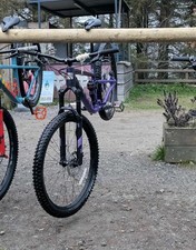 Marin Rift Zone 1 (XL)