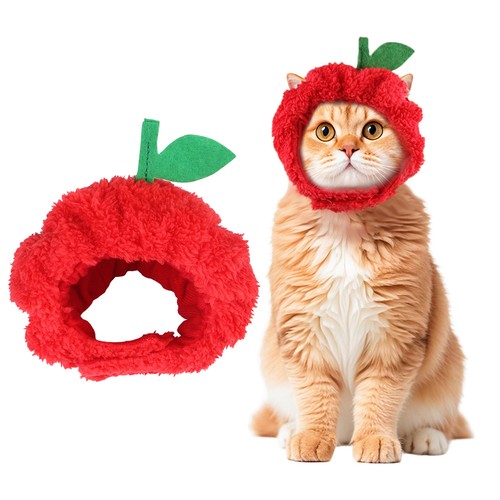 Cat hats costume cute - costume,