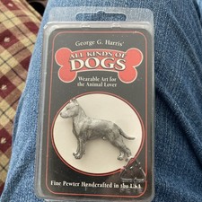 Amstaff American Staffordshire