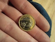 NIFC 2025 King Charles III