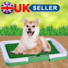 Indoor Training Restroom Grass