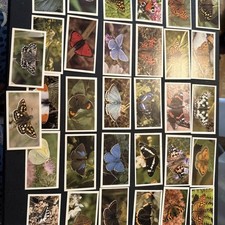 Grandee Cigarette Cards Full Set of 32 - British Butterflies 1983, VGC